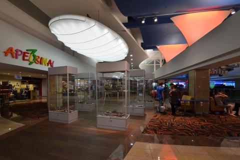 Luminaire Barrisol et colonnes 3D lumineuses