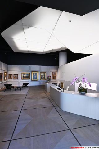 Barrisol Lumière 3D