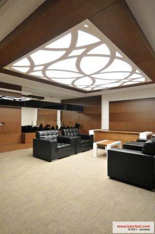 Barrisol Lumière imprimé