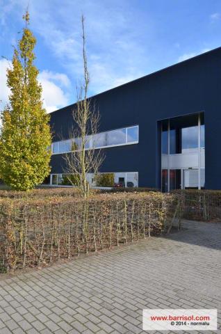 Plafonds Barrisol Lumière acoustique