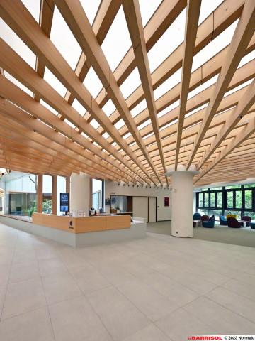 Plafond acoustique lumineux Barrisol