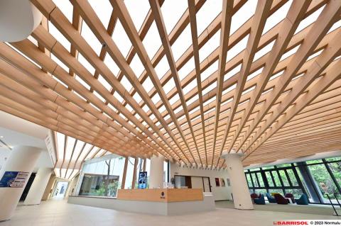 Plafond acoustique lumineux Barrisol