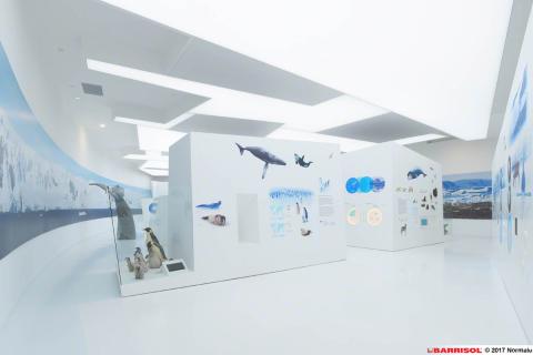 Plafond Barrisol Lumière acoustique