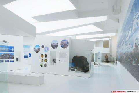 Plafond Barrisol Lumière acoustique