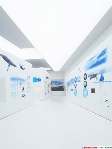 Plafond Barrisol Lumière acoustique