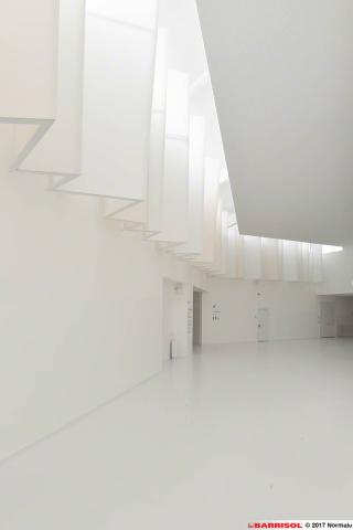 Plafond Barrisol Lumière acoustique