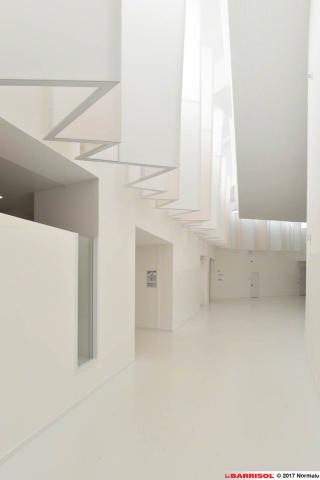 Plafond Barrisol Lumière acoustique