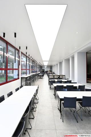 Plafond acoustique bande lumineuse Barrisol Lumière