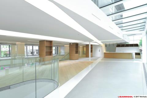 Barrisol Lumière - bandes lumineuses