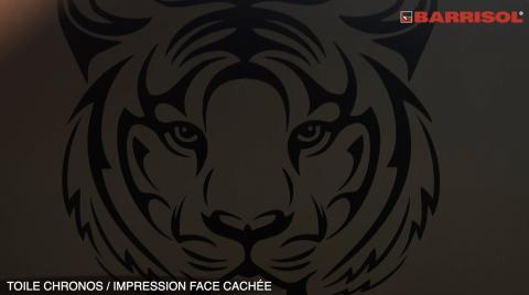 Toile Barrisol Chronos imprimée