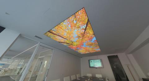 Apulia Consulting 360