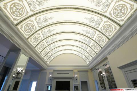 Flydog Barrisol lumiere imprimé