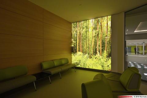 Liv Bona Dea Hospital