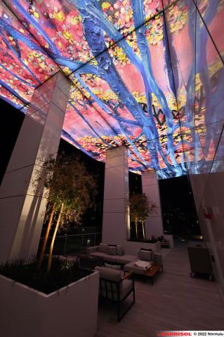 Plafond Barrisol Lumière imprimé