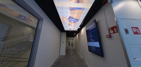 Sport Academy - Plafond Barrisol lumière imprimé