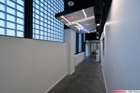 Plafonds Barrisol Lumière acoustique imprimés