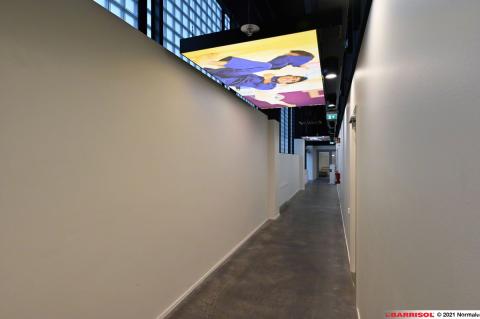 Plafonds Barrisol Lumière acoustique imprimés