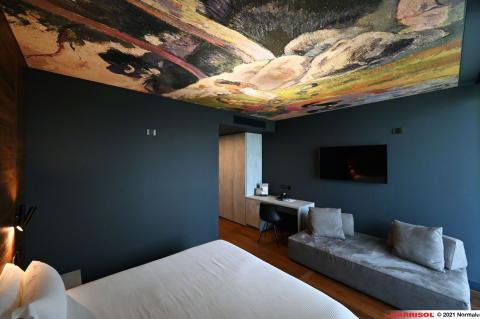 Plafond Barrisol Lumière imprimé