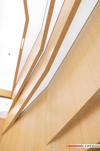 Salle de réunion avec plafond Barrisol Lumière