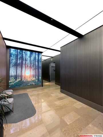 Centro comercial Lilla