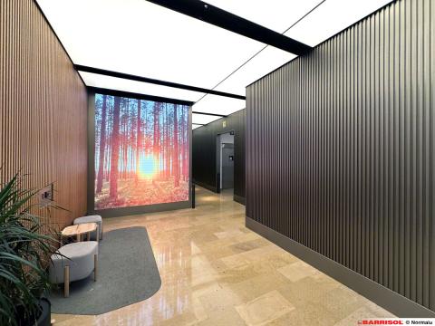 Centro comercial Lilla