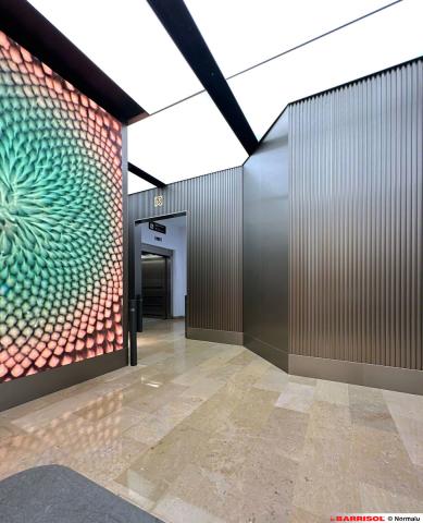 Centro comercial Lilla