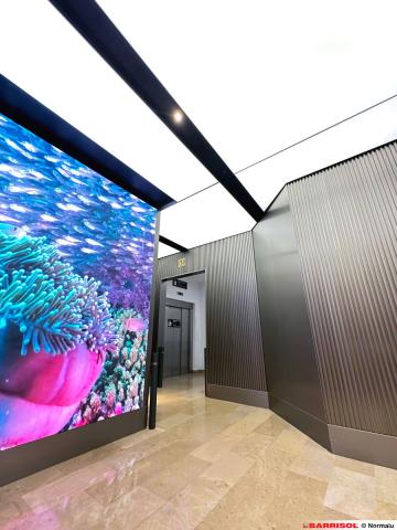 Centro comercial Lilla