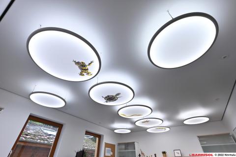 Luminaire imprimé Barrisol