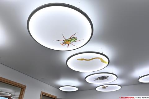 Luminaire imprimé Barrisol