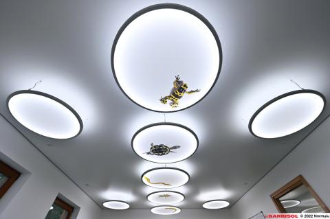 Luminaire imprimé Barrisol