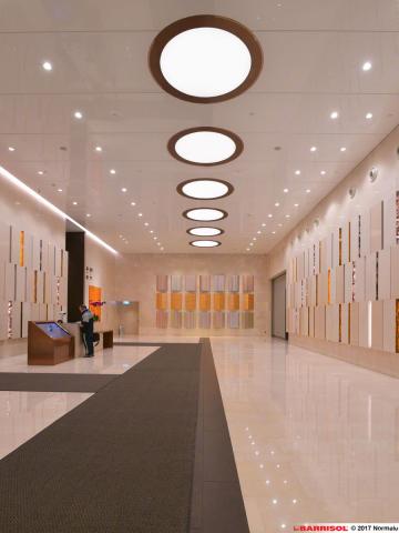 Intégration de spots dans le plafond tendu Barrisol