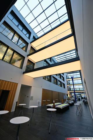 Eclairage sous escalier / passerelle - Barrisol Lumière