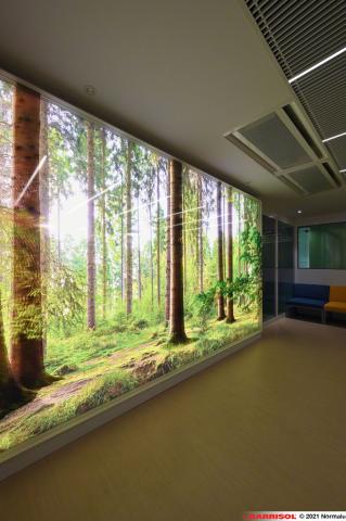 Mur imprimé lumineux Barrisol Layers - motifs arbres