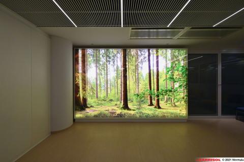 Mur imprimé lumineux Barrisol Layers - motifs arbres