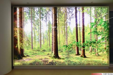 Mur imprimé lumineux Barrisol Layers - motifs arbres