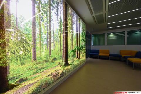 Mur imprimé lumineux Barrisol Layers - motifs arbres