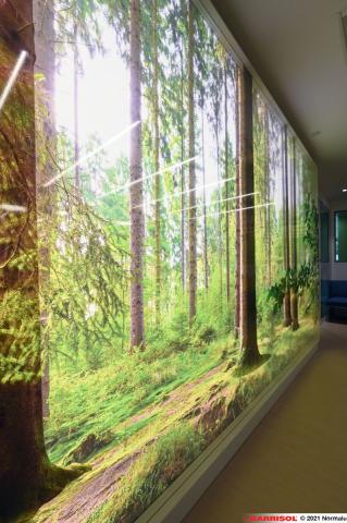 Mur imprimé lumineux Barrisol Layers - motifs arbres