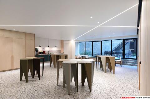 Barrisol Light Lines