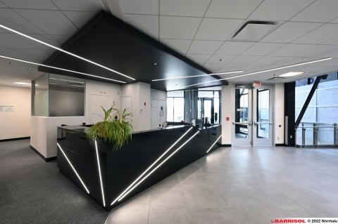 Barrisol Light Lines