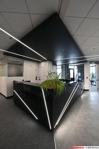 Barrisol Light Lines