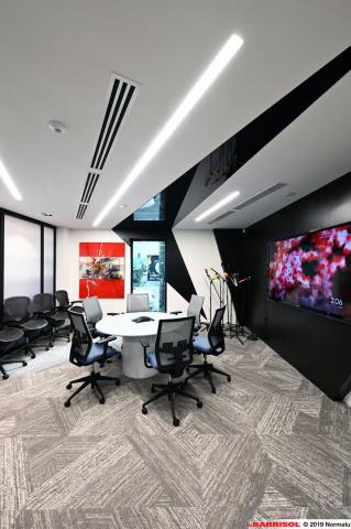 Barrisol Light Lines