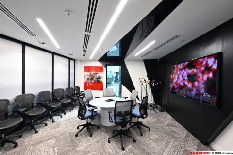 Barrisol Light Lines