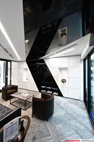 Barrisol Light Lines