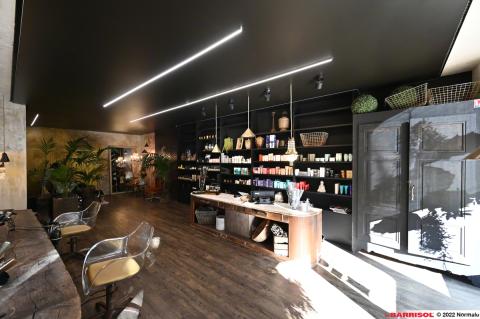 Barrisol Light lines