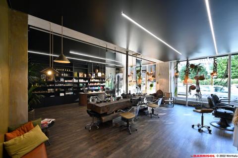Barrisol Light lines