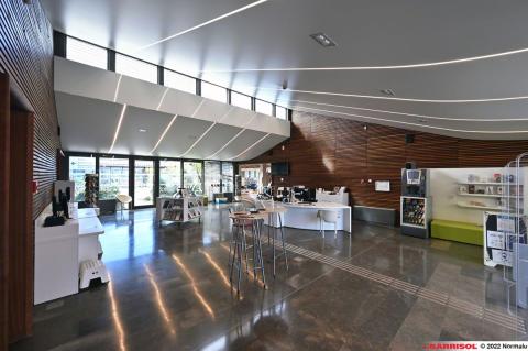 Barrisol Light Lines - solutions d'éclairage au plafond