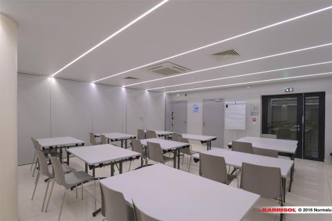 Barrisol Light Lines