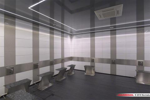 Barrisol Light Lines