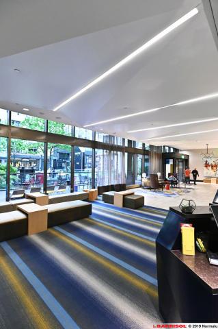 Barrisol Light Lines