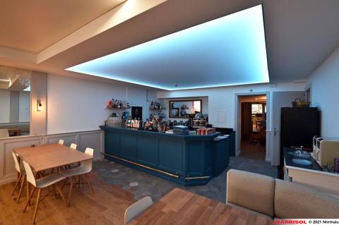 Plafond acoustique Barrisol avec éclairage Light Lines